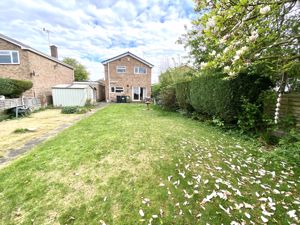 Photo 3- click for photo gallery